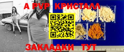 стаф Камень-на-Оби