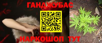 стаф Камень-на-Оби