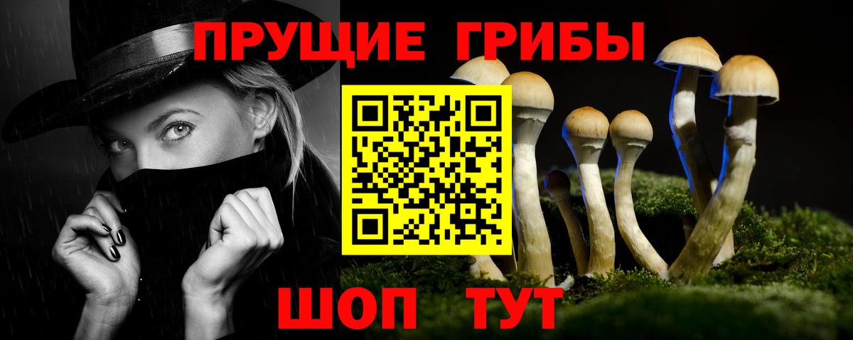 Псилоцибиновые грибы мухоморы  Вход с VPN  Братск  Псилоцибиновые грибы MAGIC MUSHROOMS 